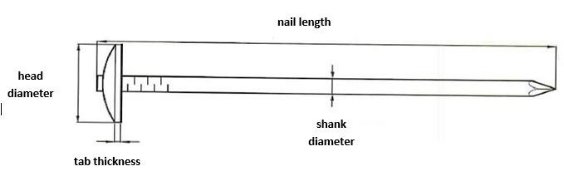 Galvanized steel nail