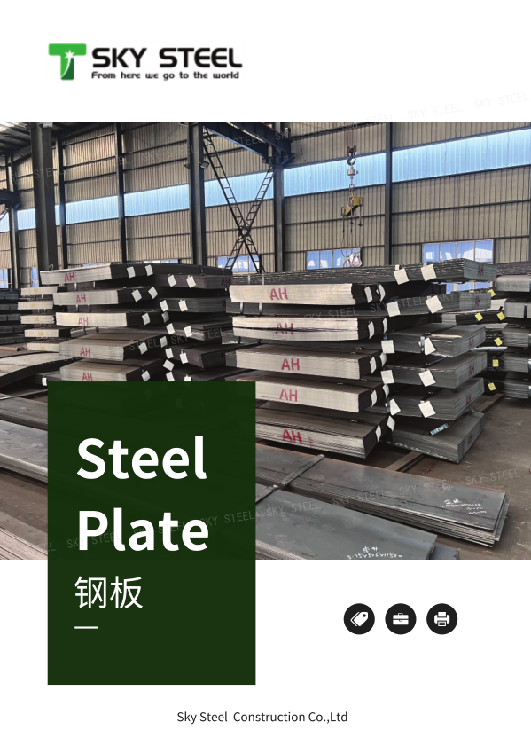 SkySteelGroup Steel Plate Product Catalog